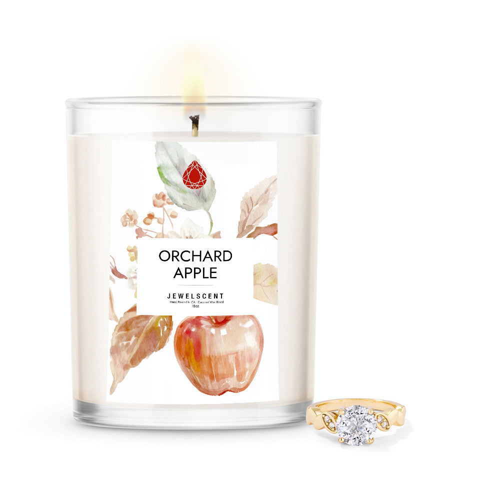 Orchard Apple 18oz Mystery Jewelry Candle Main image